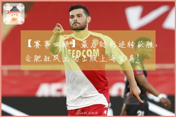 【赛事回顾】最后时刻逆转获胜，合肥狂风主场击败上海玄鸟！