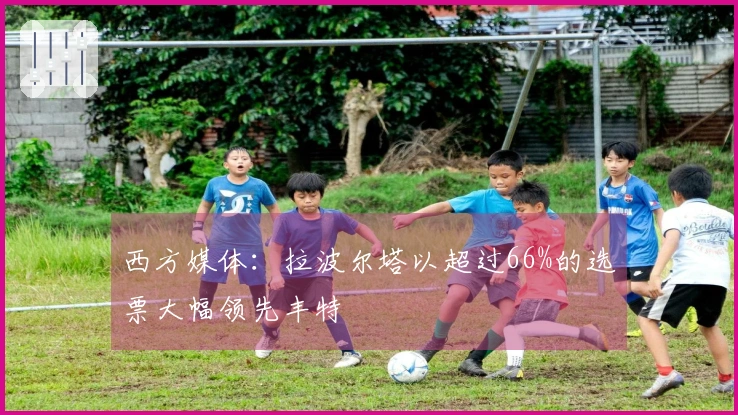 西方媒体：拉波尔塔以超过66%的选票大幅领先丰特